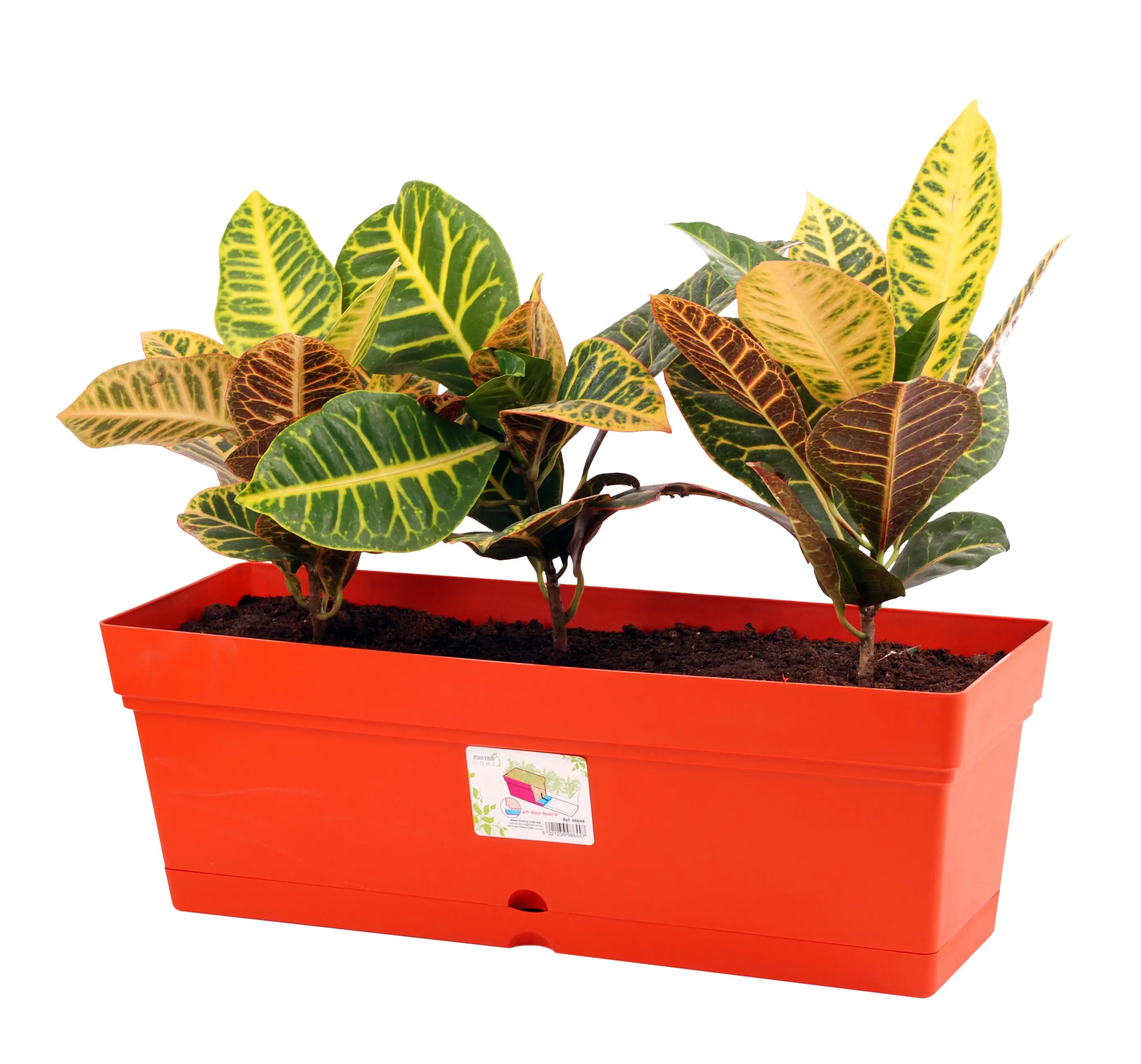 Mintra Garden - Window Box Planter (19inW x 6.75H)