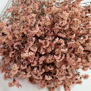 Coral Peach Preserved German Statice, Limonium Dried Flower, Crystal flowers, Wedding, DIY flower arranging, 19"-20"tall