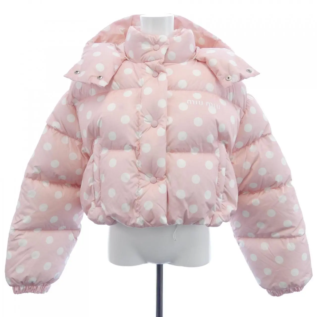 Pre-owned miu miu Vegan Leather Small Leather Goods Econyl Down Jacket