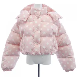Pre-owned miu miu Vegan Leather Small Leather Goods Econyl Down Jacket
