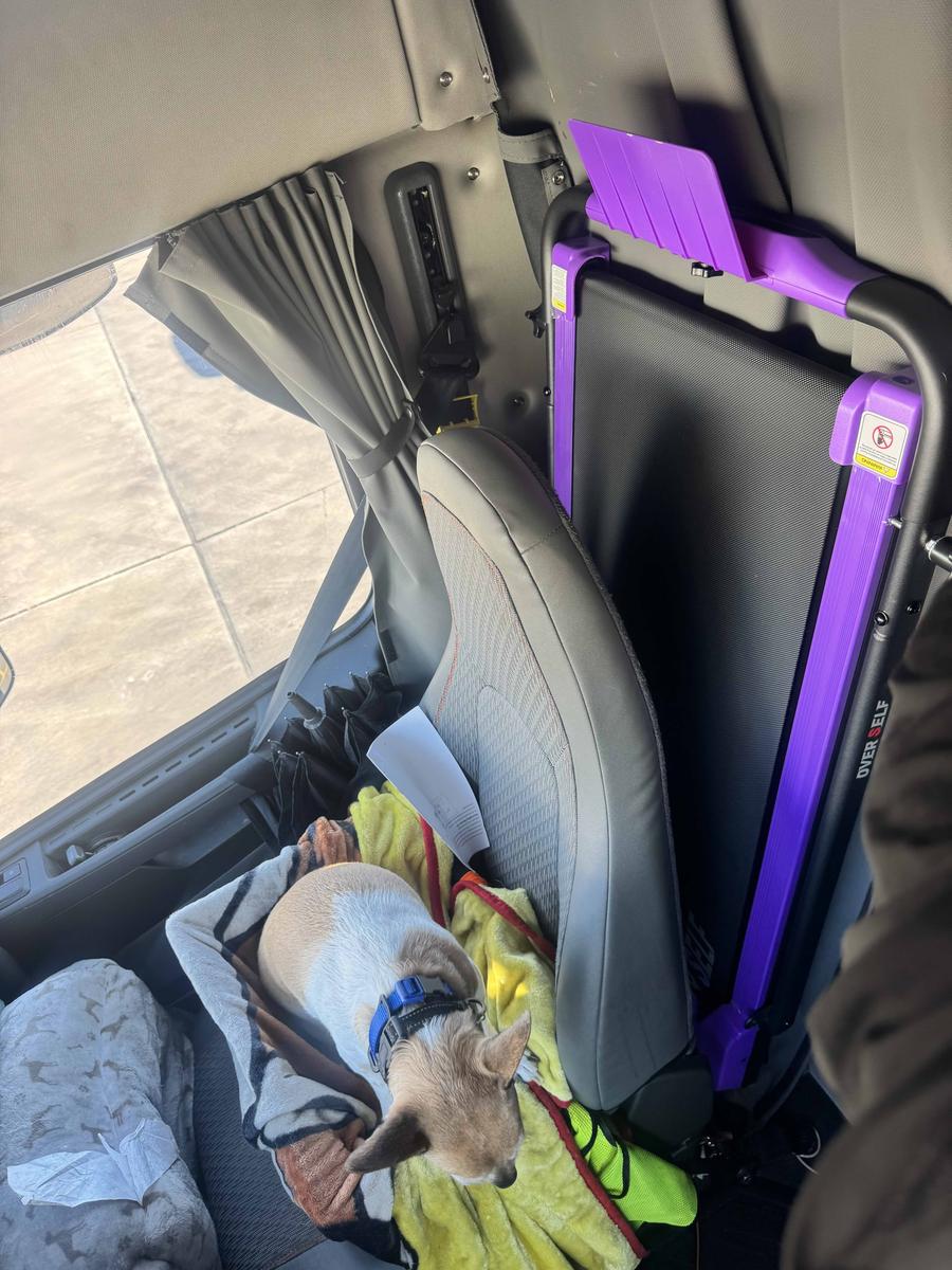 Item: WITH HANDLE 0.6-6.2MPH(L-42.5in) PURPLE