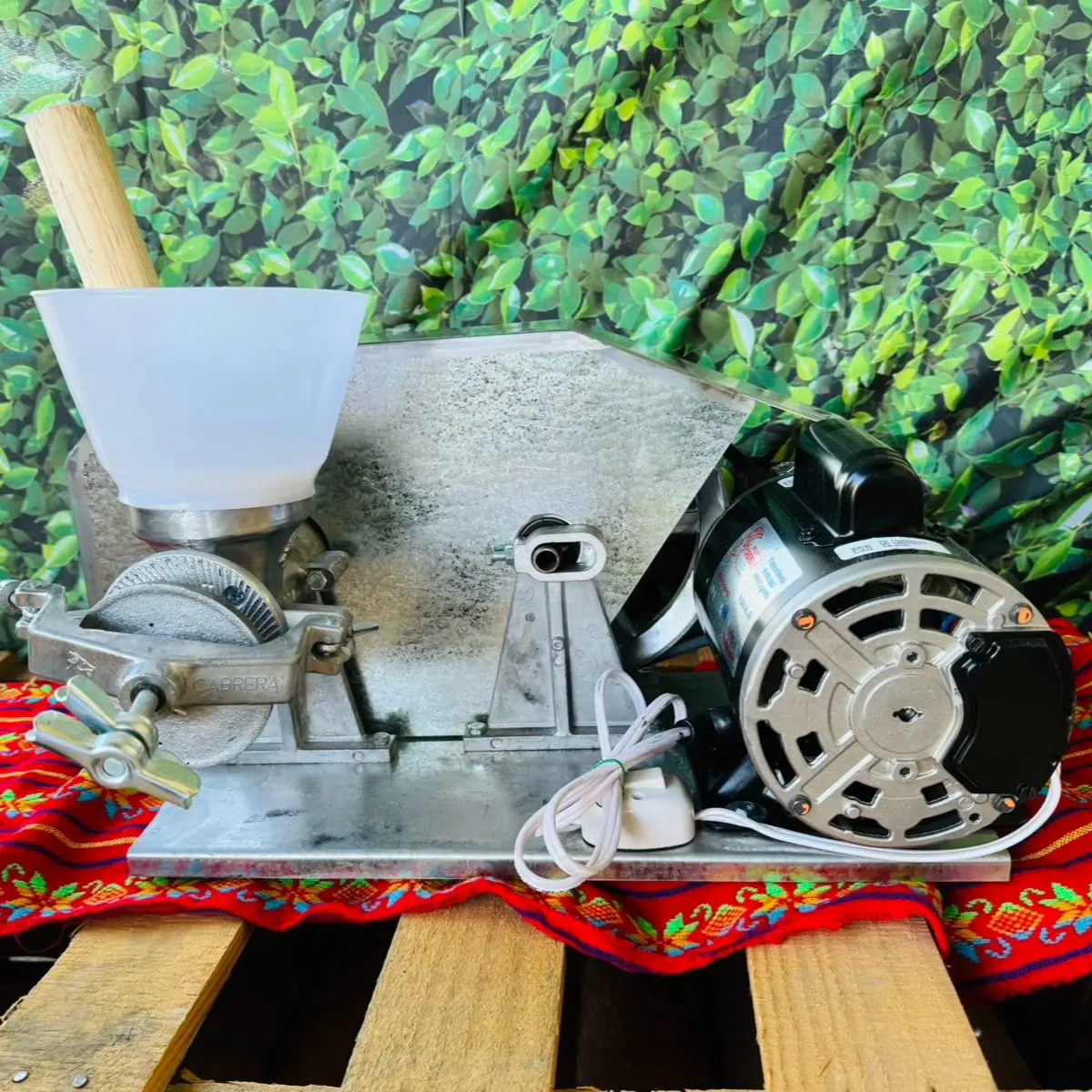 Mexican Electric Corn Grinder Mill Cabrera with Banda.