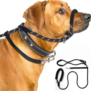 Dog leash, one-piece collar, anti-barking muzzle, for walking the dog outside.