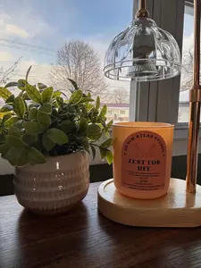 Denim Atlas Studio Zest For Life Candle - Mood Boosting Fragrance with Lemon Zest Creamy Coconut Milk Shea Butter & Vanilla - Vegan Cruelty-Free Natural ISO 9235 Certified