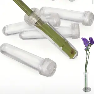 Clear Leak-Proof Hydroponic Vase With Airtight Caps for Plant Care and Display