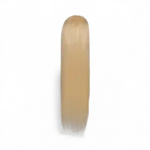 6 x 6 Closure Wig