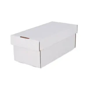 BCW Graded Shoe Storage Box