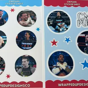 CM Punk Inspired Vinyl Sticker Sheet