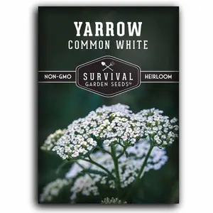 White Yarrow Seeds - Heirloom flower seeds