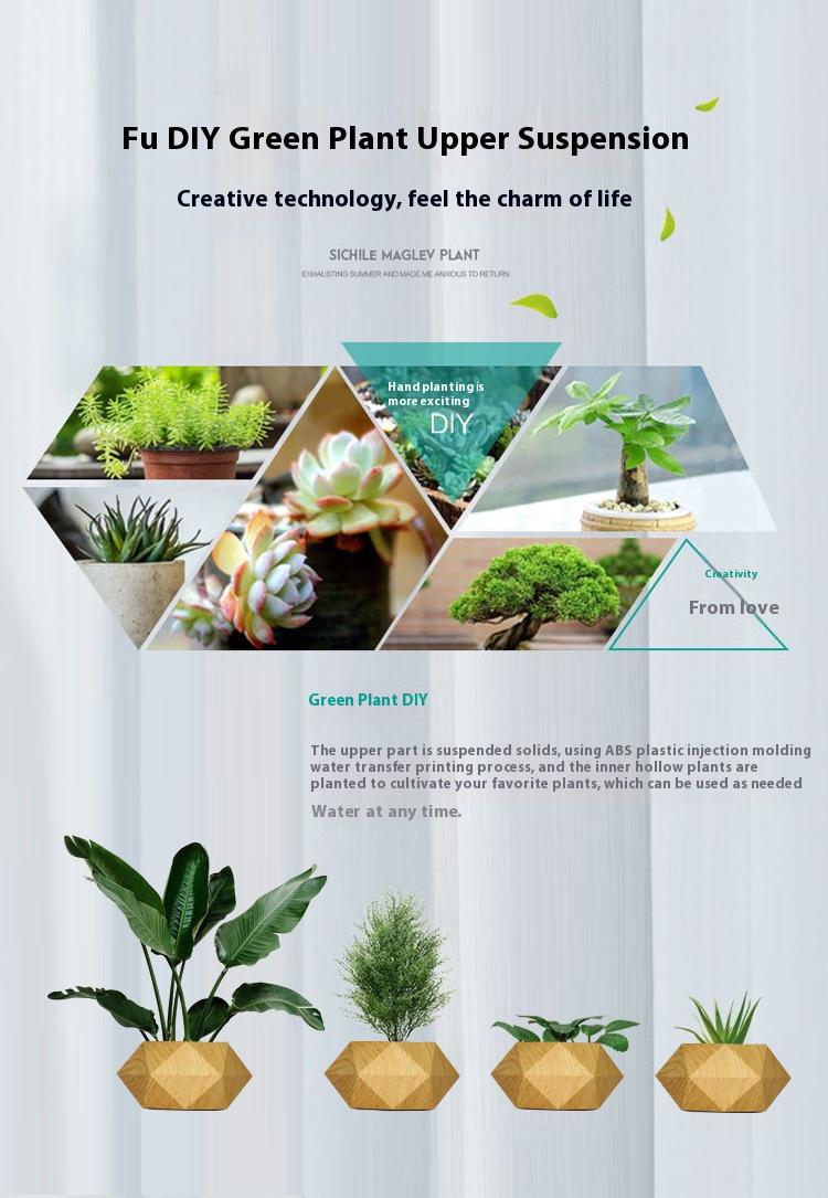 Cool Magnetic Levitating Plant Pot, 360° Rotating Floating Flower Pot with Wooden Texture Base, Unique Home & Office Desk Accessory