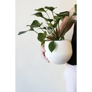 Stand Pot