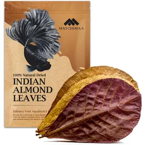 Premium Indian Almond Leaves Aquarium Decorations Size 6-9" 50g Pack (20-25 Leaves) Catappa Leaves Rich in Tannin for Health Vitality Successful Breeding of Shrimp & Betta Fish Tank