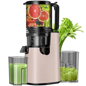 LQZ Cold Press Juicer-Slow Masticating Machines, 350W, 5.4" Feed Chute for Whole Fruits & Vegetables,High Juice Yield,Easy to Clean