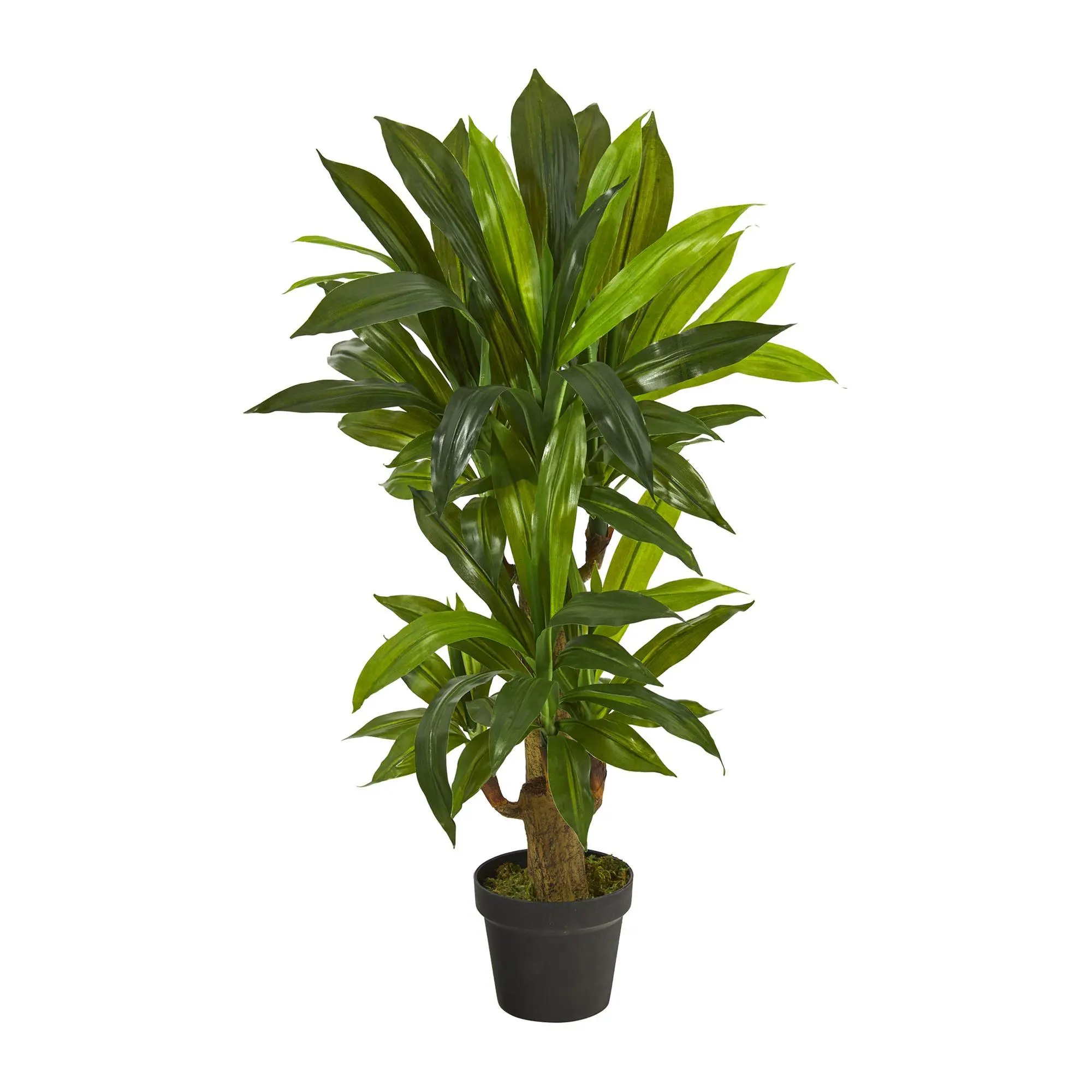 Nearly Natural 3' Corn Stalk D racaena Artific ial Plant