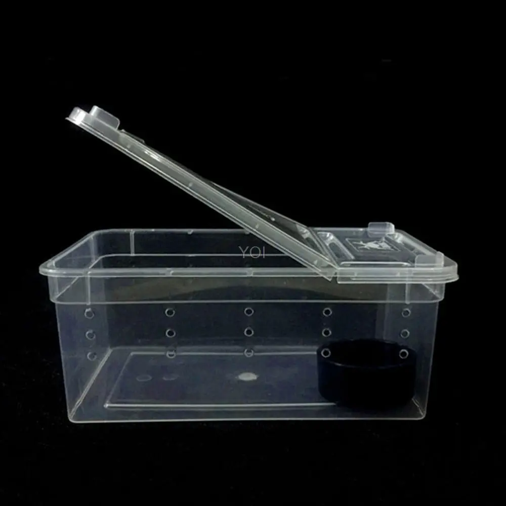 Clear Reptile Feeding & Transport Box