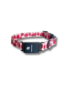 Peached Pups Strawberry Fields Fi Compatible Dog Collar with Real Time Location Tracking & Geofencing for Safe Adventures