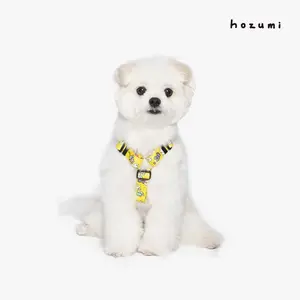 [BETTERS] Hozmi x Betters Baby Angel H Harness