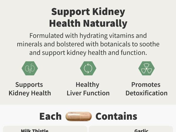 2x Cholesterol Health + Liver Health - Snap Supplements - Natural Liver Cleanse Detox and Repair - Support Healthy Cholesterol Levels & Natural Heart Health