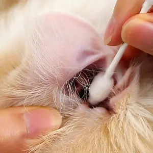 Pet Cotton Swabs Pack, 56pcs Ear Care for Dogs & Cats, Soft Cotton Sticks for Gentle Cleansing, Essential Grooming Supplies