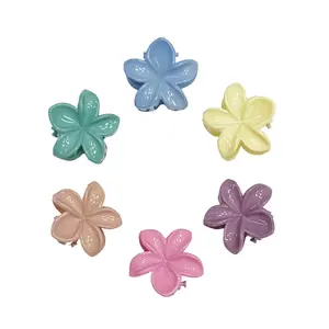 Small Hawaii Flower Claw Clips - Set of 6