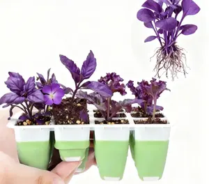 Flexible Silicone Seed Starter Tray: 72-Cell Indoor Seed Starter Kit