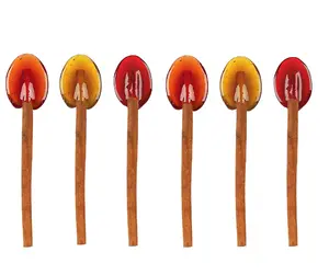 Honey Cinnamon Spoons 6-Pack Handmade Stirrers for Coffee Tea Hot Cocoa 3 Flavor Apple Mulling Spice, Clover Honey, Pumpkin Spice Made in USA Sweet Candy Tea Gift Clover Honey Flavor