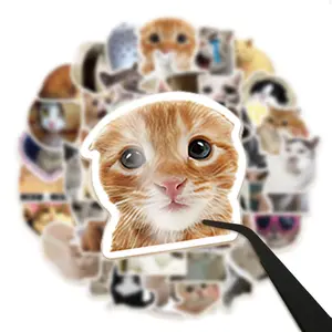 50PCS Funny & Cute Cat Meme Stickers | DIY Vinyl Waterproof Decoration for Laptop, Ipad, Iphone, guitar, water bottle