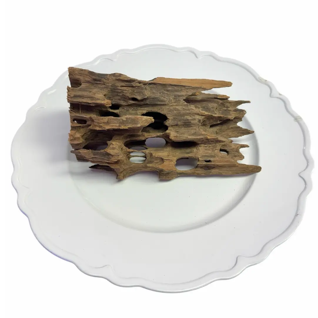 Tofu's Tanks Medium "Shrimpwood" Driftwood 9-12" Natural Decor for Aquascaping & Terrariums - Perfect for Aquatic Shrimp and Bettafish - Enhances Any Aquatic or Terrestrial Space