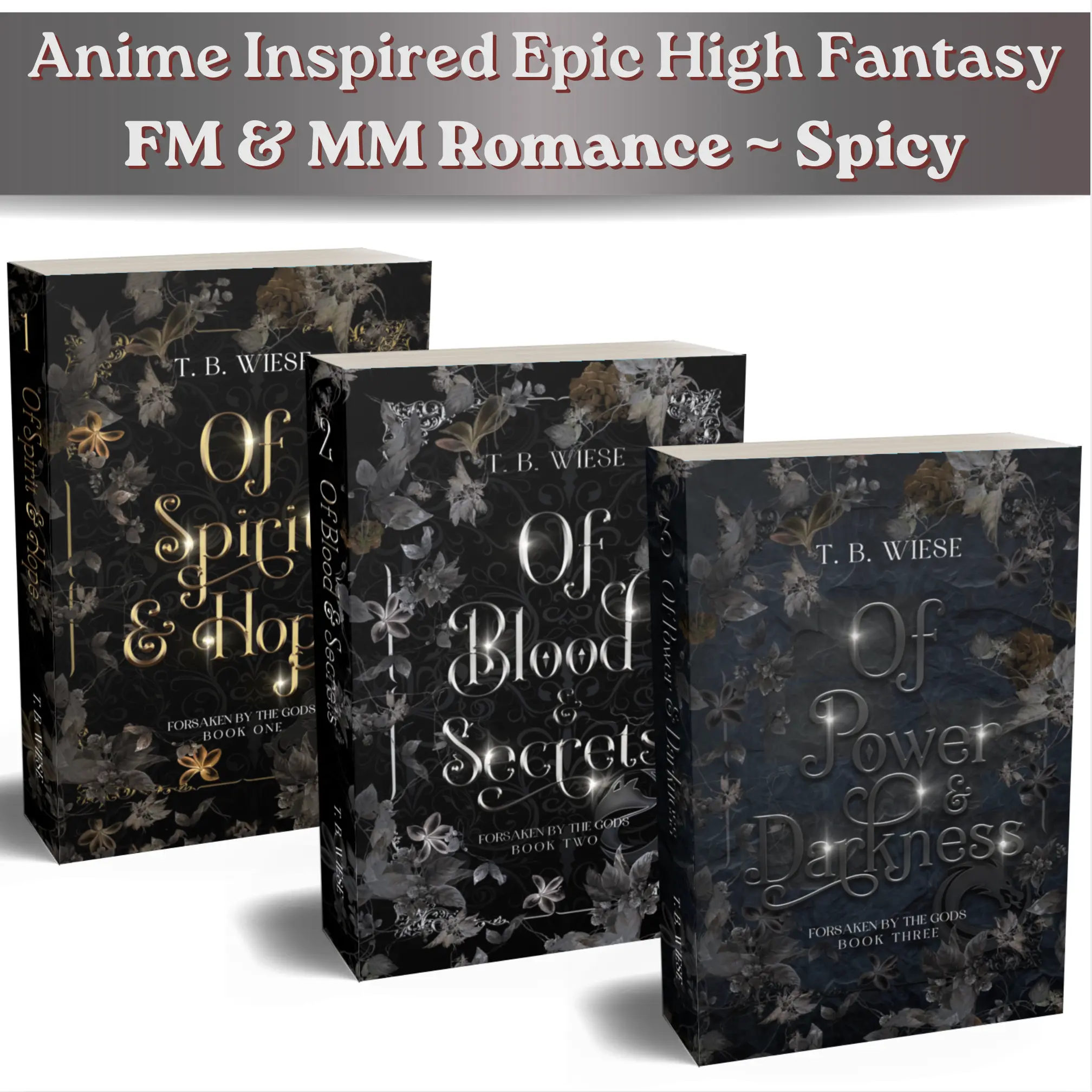 Complete Trilogy - Of Spirit & Hope, Of Blood & Secrets, Of Power & Darkness by T. B. Wiese - Paperback or Hardcover - Adult Fantasy Series
