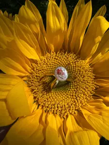 Mimi's Handmade Botanical 18k Gold Plated Ring with Real Flower