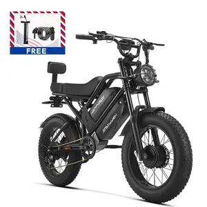 HappyRun G70 Pro Dual-Motor Dual-Battery Electric Cargo Bike
