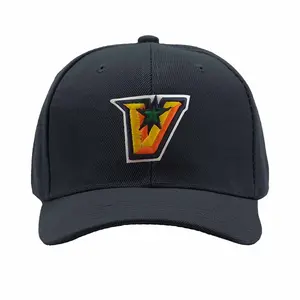 UTRGV Vaqueros Snapback Adult Men Trucker baseball  Hat Cap Unisex baseball cap