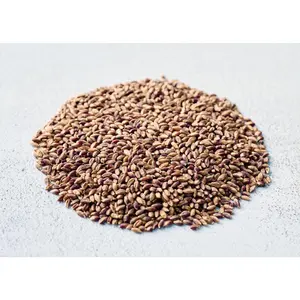 Jet Black - Organic Barley