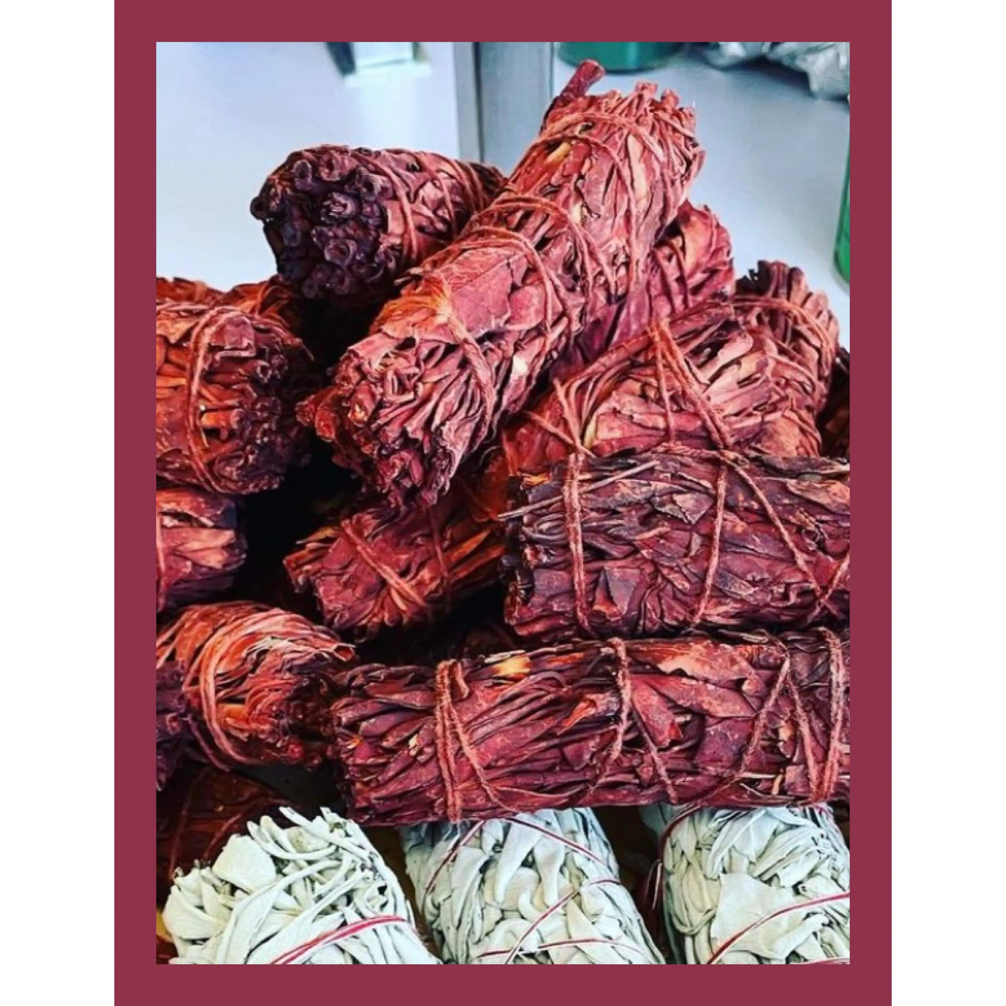 Dragon’s Blood Sage