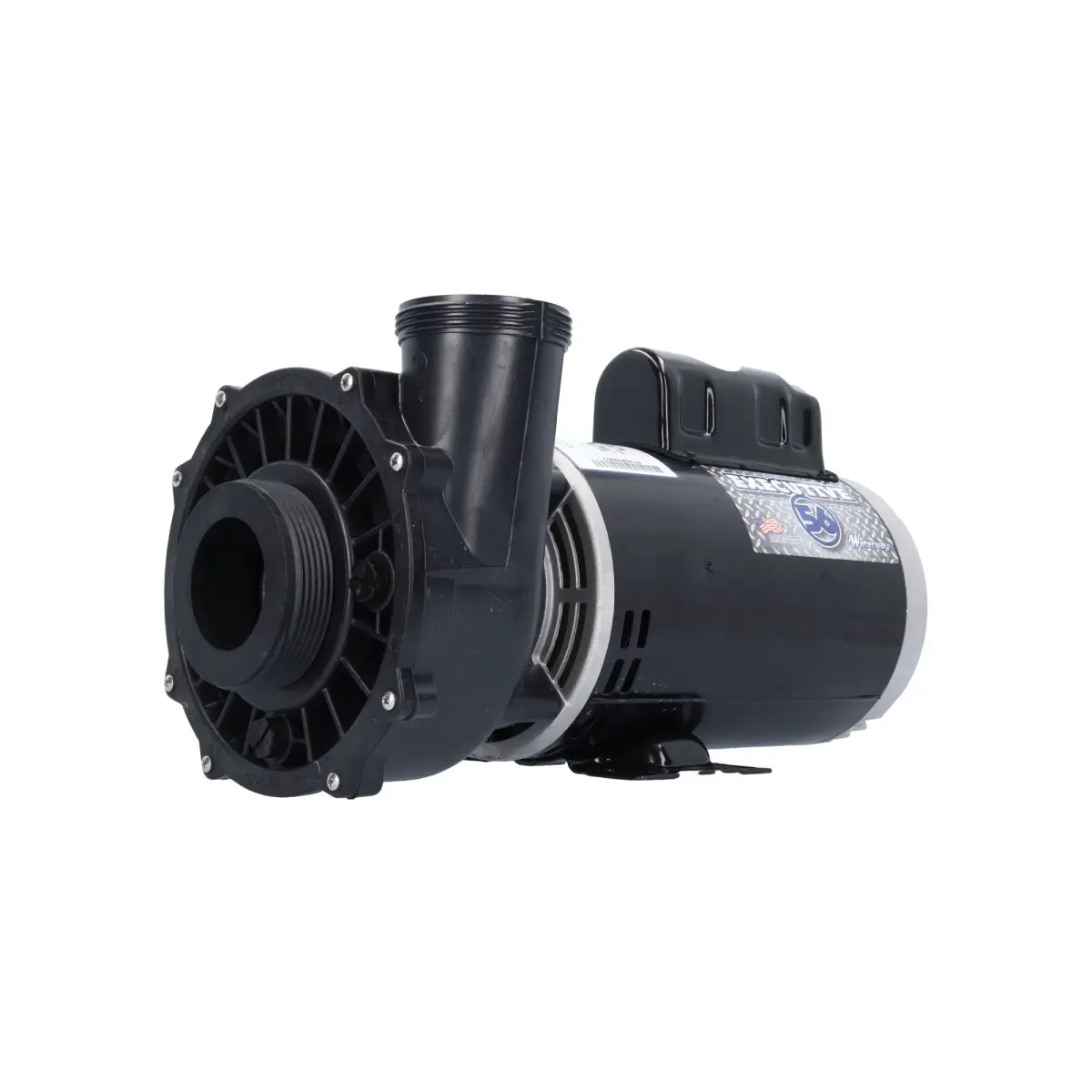 Waterway Plastics 3721621-13 Executive 56 2-Speed Pump, 4 HP, 230V, 12.0-4.4A, 2.5 x 2 in. MBT SD, 240 gpm, 316ss Casing, 48 & 56-Frame Motors, 6.5 in. Diameter