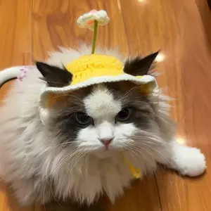 Charming Pet Knitted Hat, Cute Decorative Cap with Small Flowers, Wool Dog Headband, Handmade Adorable Accessory