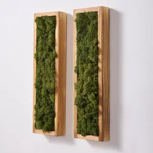 Mokof 2 Pack Moss Wall Art - Preserved Moss in Wood Frame - 17.3" Natural Modern Wall Decor for Living Room, Bedroom, Bathroom, Entryways, Home Office (Moss Green)