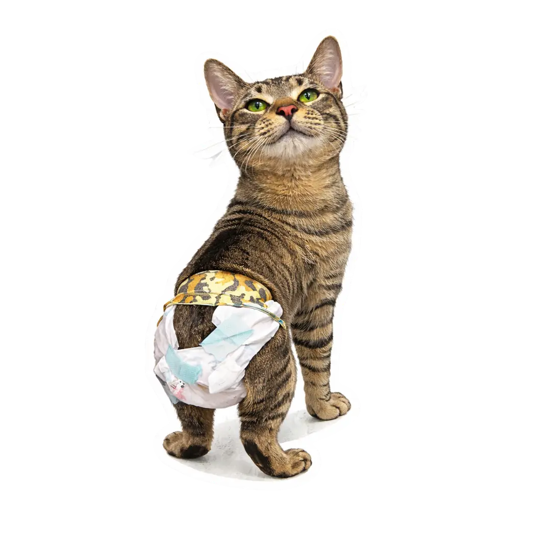 Mason Vinyl Sticker