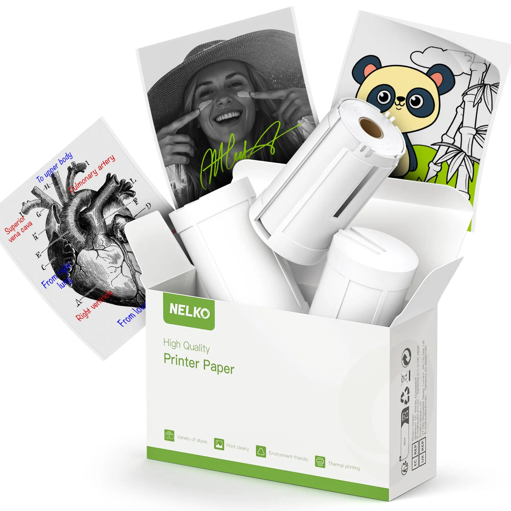 3 Rolls Transparent Tape