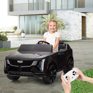 2 Seater Ride on Car for Kids 24V Electric Car Toy Toddlers Battery Powered Ride on Truck with 2.4G Remote Control, Full-Wheel Suspension, Music, LED Lights,