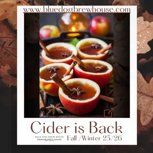 Spiced Apple Cider (It’s Back!)