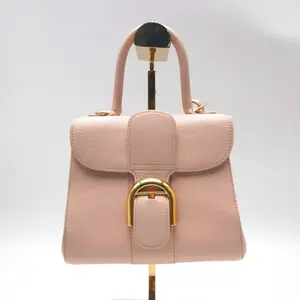 Pre-owned delvaux cowhide Shoulder Bags Brillant Mini Light Pink Calfskin Shoulder Bag, Crossbody Bag, Handbag with Gold Hardware and Detachable Strap