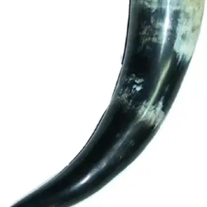 Hollow horn for Palo , Santeria and Ifa Large