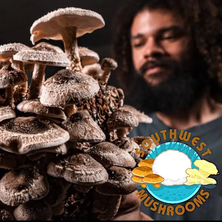 Shiitake Mushrooms Grow Kit - Southwest Style