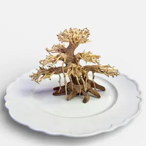 Dragonwood/ Octopus Bonsai Wood Tree DIY Kit for Aquariums, Vivariums, and Terrariums Decoration/Ornament - Includes Tree, and Your Choice of Plants and/or Glue. Create a centerpiece for your reptile/amphibian enclosure!