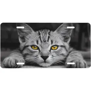 Silver Cat Face Cute Front License Plate Aluminum Decorative License Plates Funny Metal Car Plate Novelty Vanity Tag Cover 6"X12" Car Decor Accessory with 4 Holes for Men Women
