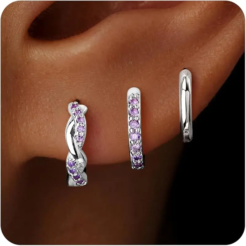 Silver-02 February Amethyst Hoop