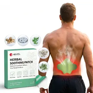 Herbal Lower Back Heat Patches for All Day Comfort, 30 Patches per Box, Gentle Warming Therapy for Lumbar Pain Relief, Perfect for Office Work, Driving, Sports Recovery, Hypoallergenic Body Care Heat Patch Pack Gentle Wrist Ice Pack Wrap for Carpal Tunnel