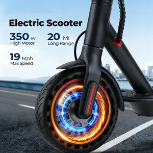 350W Brushless Motor Foldable Electric Scooter with App-Controlled Charging & Durable Frame for Adults