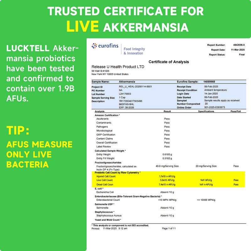 LUCKTELL Akkermansia 300 Billion AFU Supplement for GLP-1 30 Capsules Healthcare Dietary